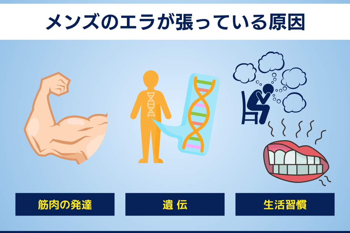 メンズのエラが張っている原因