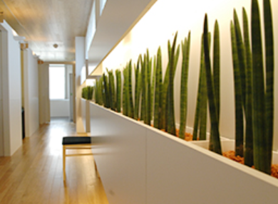 クリニックの様子