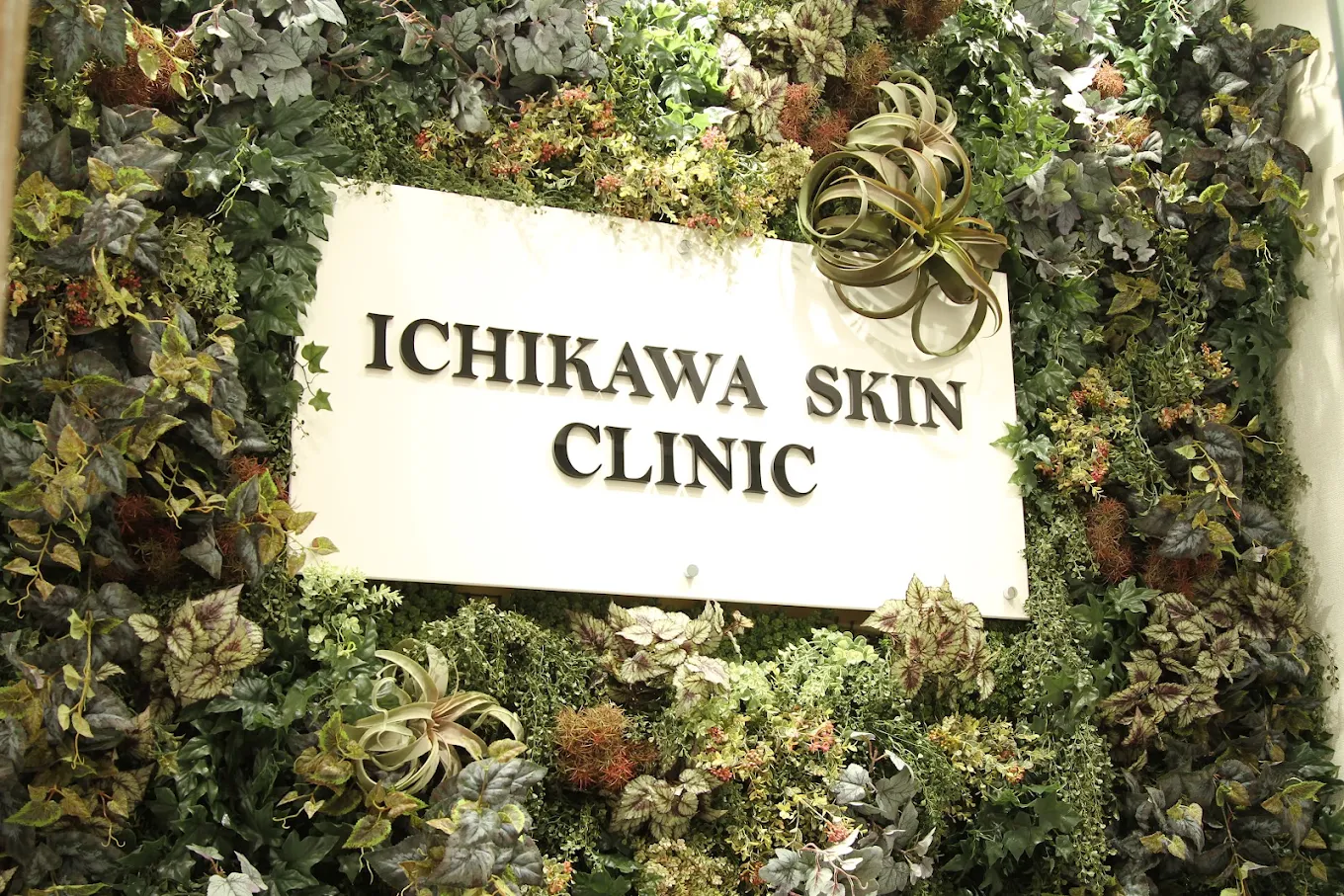 クリニックの様子